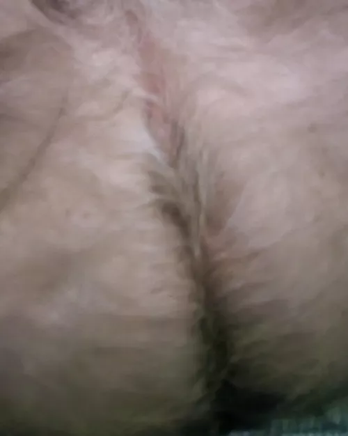 Hairy ass love it