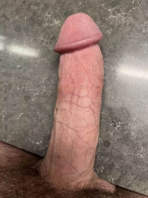 Looking for a needy mouth