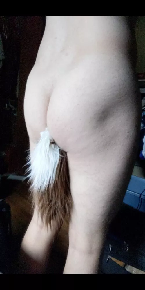 Love my cute pony tail (homemade 😈). Easy project!