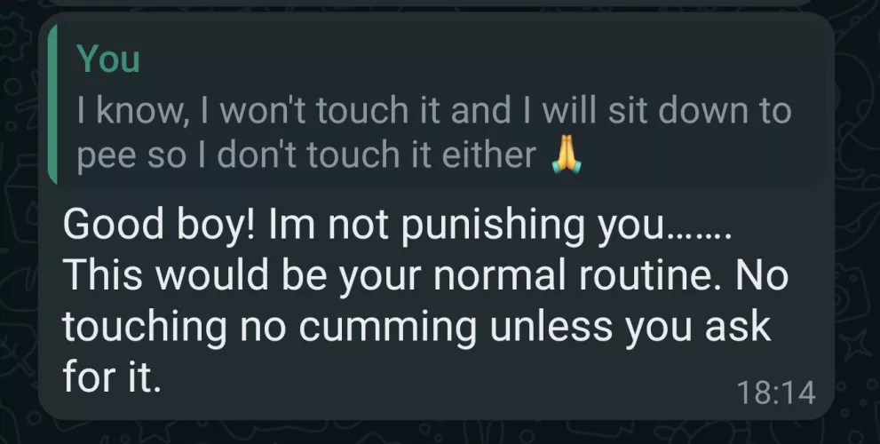 Rule No.1: She owns me