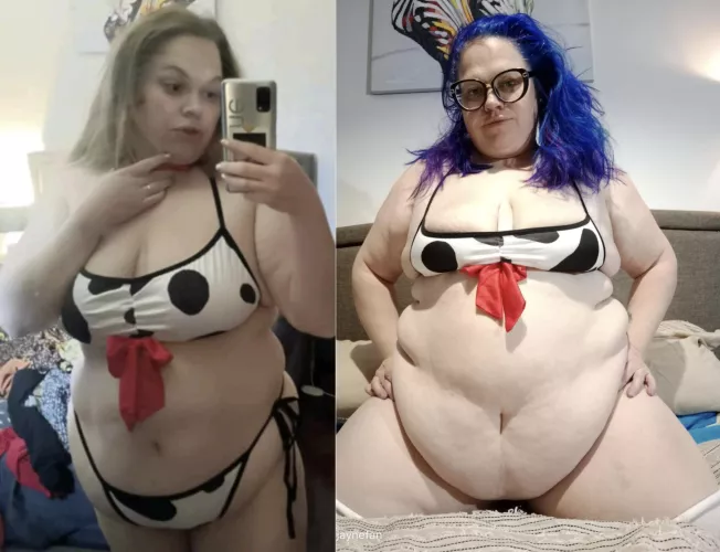 So much fatter is it better ?