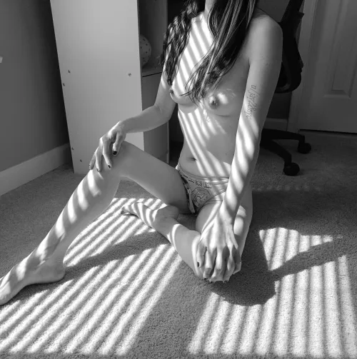 Sunstripes in black and white (F) [OC]