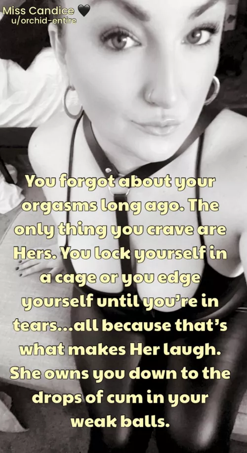 You boys sometimes forget that Femdom isn’t about you being used, it’s about you being of service. Her pleasure first. Her power. Her control. 🖤