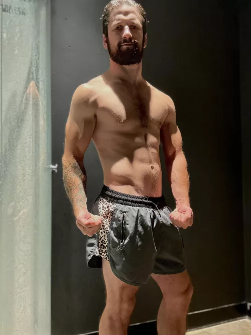 Any fans of cheetah?