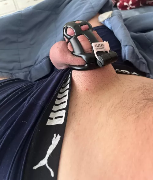 Day 2/6 morning wood. Last night princess FaceTimed me and I watched her cum all over her vibrator. I was kept locked of course.