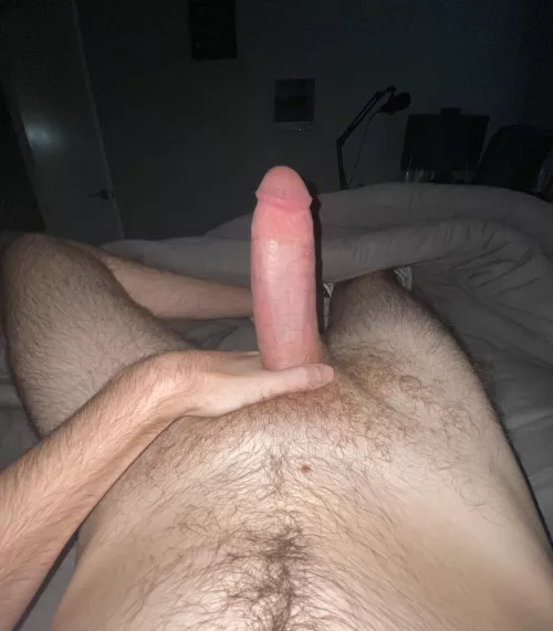 Horny doesn’t sleep