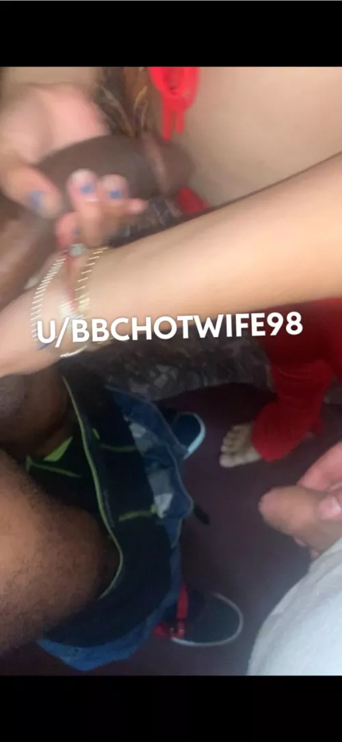 What cock should she be breed by?