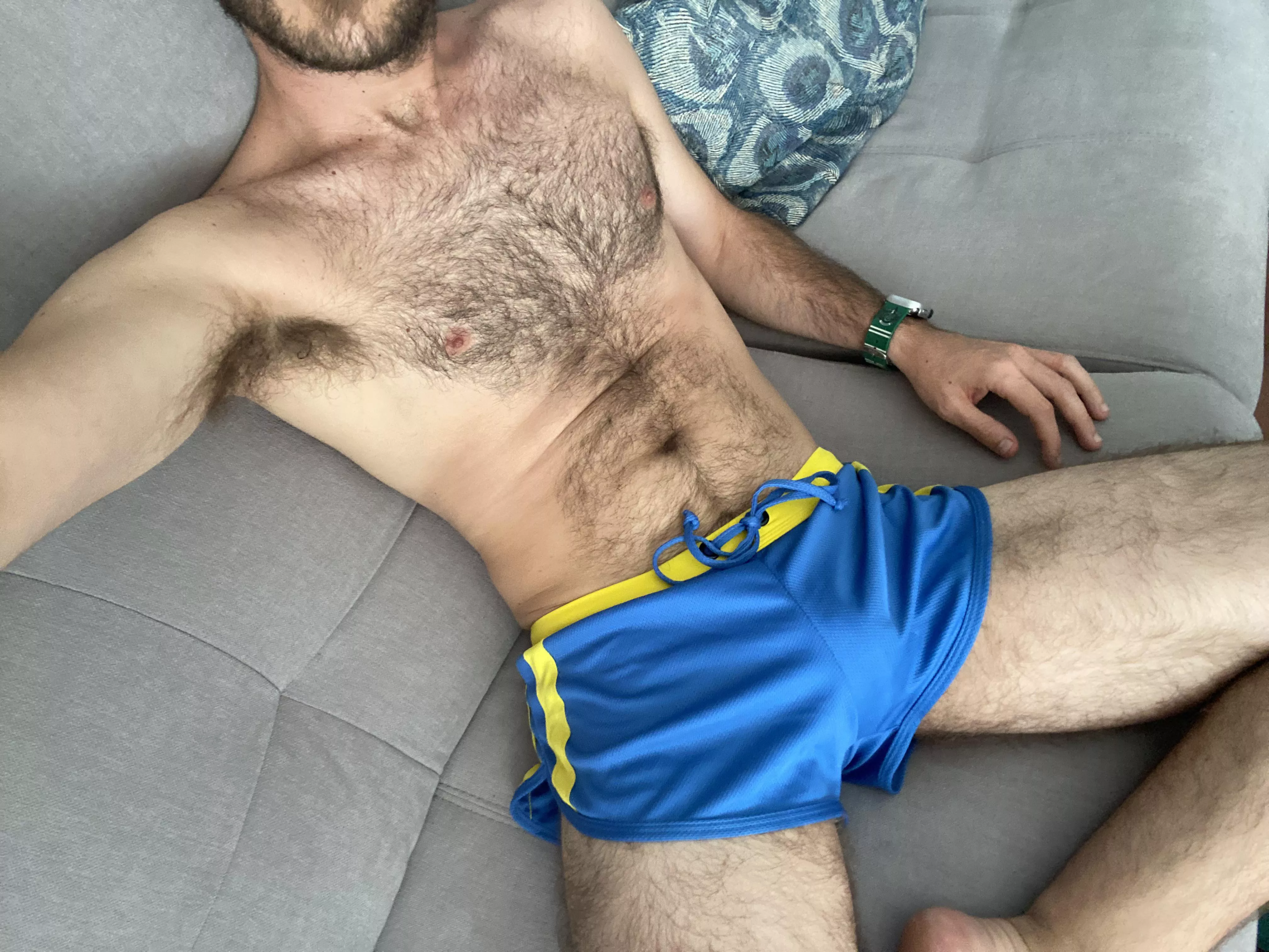 What do you think of my new purchase?