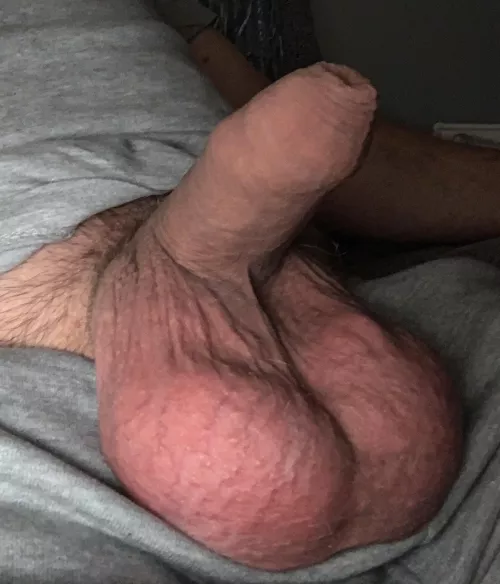 Cock and balls compare?