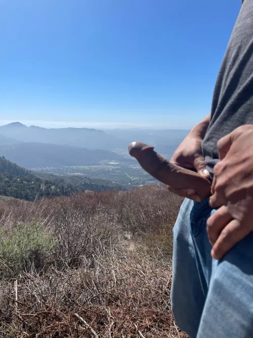Cock out on a hike