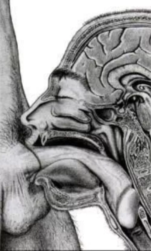 deepthroating is a science