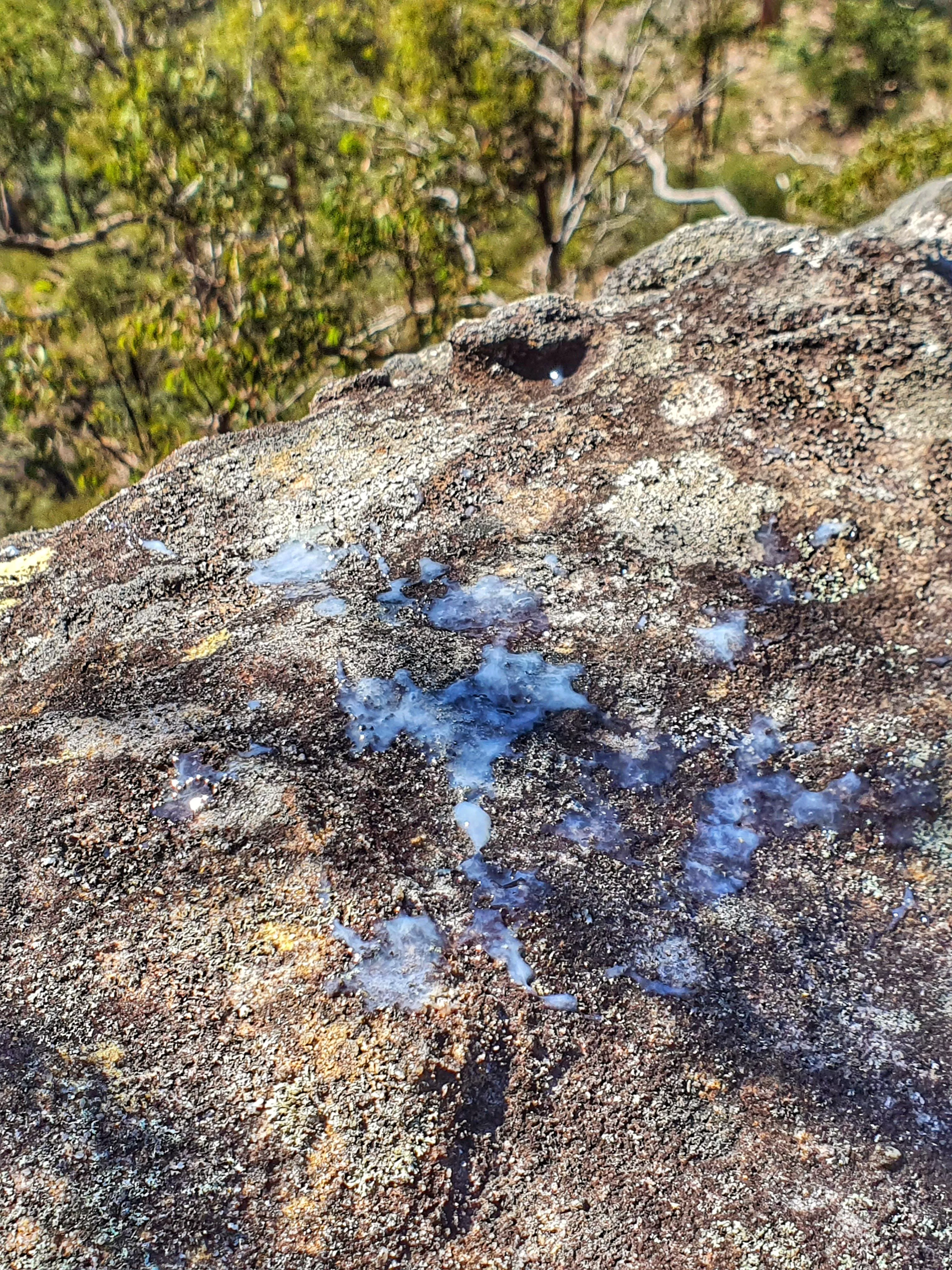 Does this count as littering? I wish I had somewhere else I could have put it...