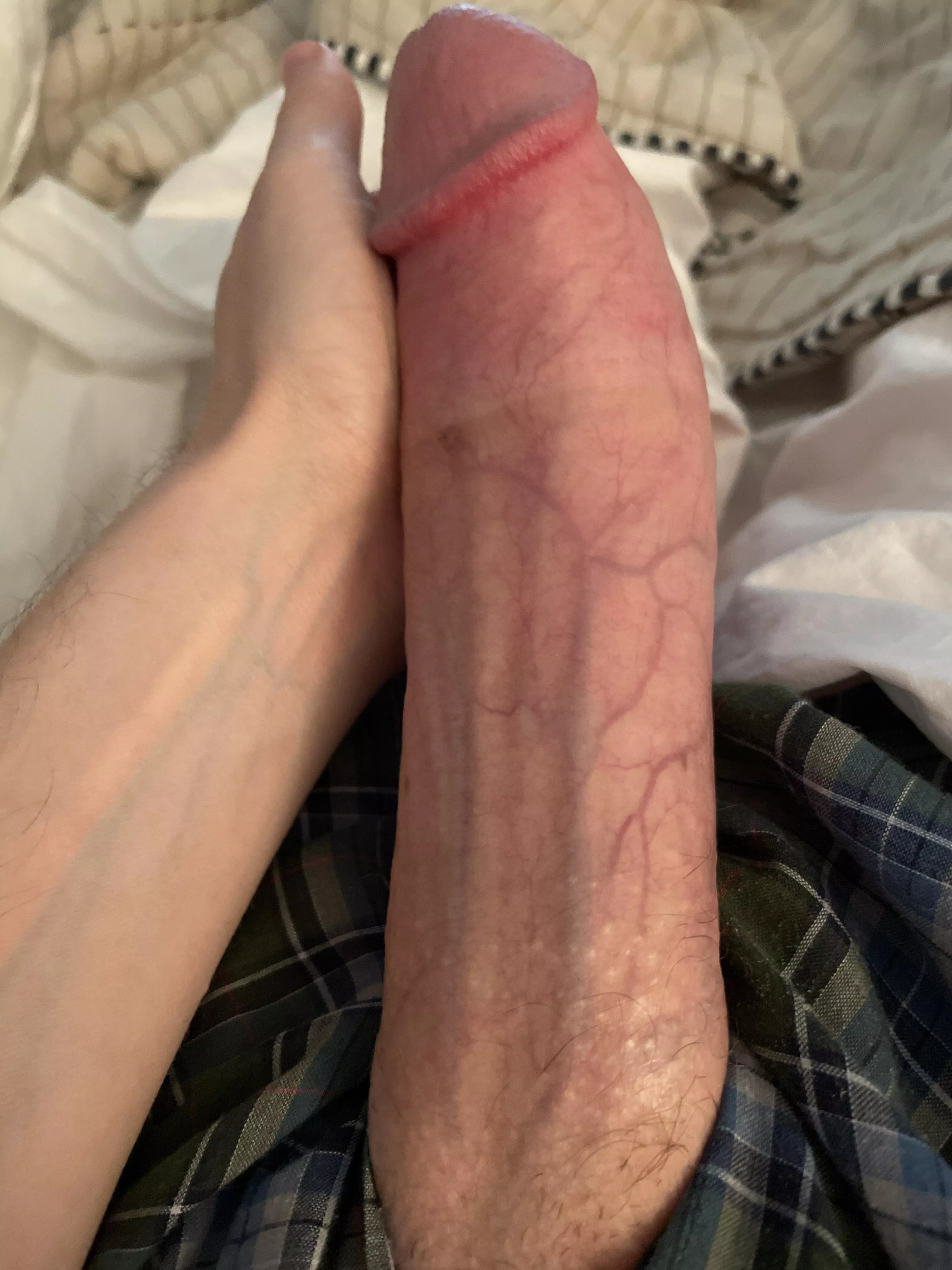 I want to know how many people here would suck my cock