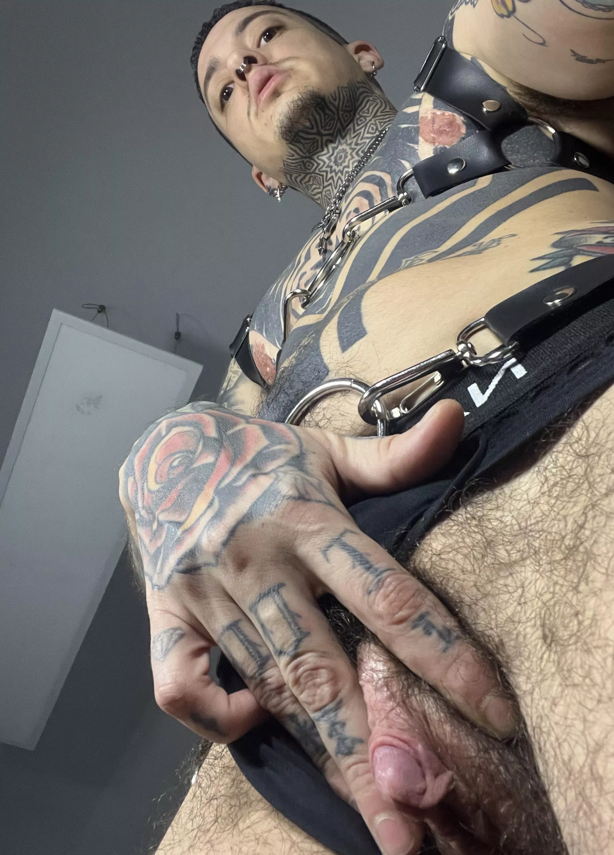 It’s just starting to get hard and slimy.