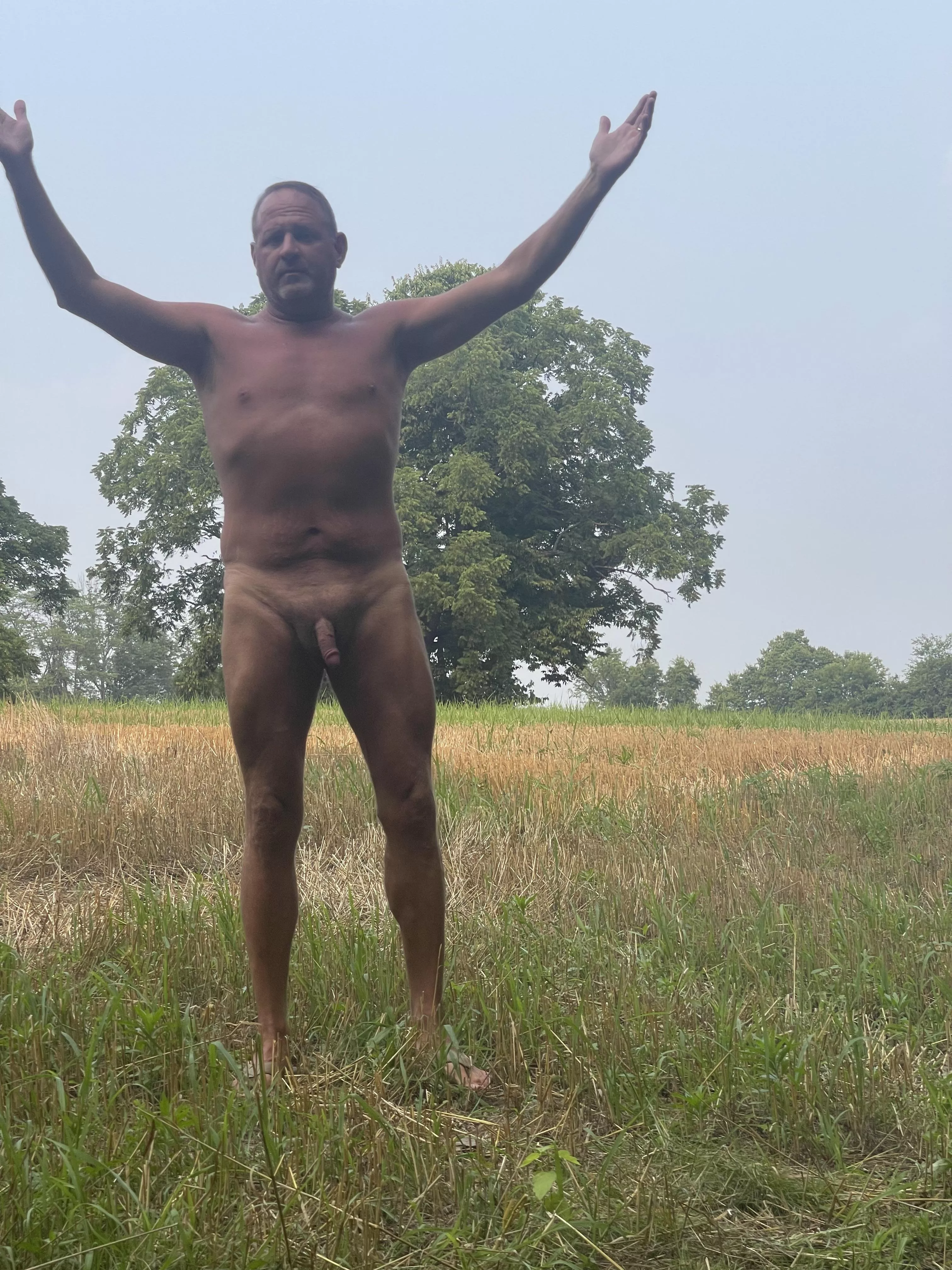 Little more in focus! Fields are empty!