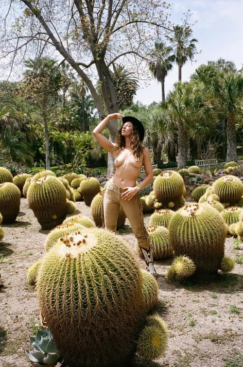 A New Sheriff In Town