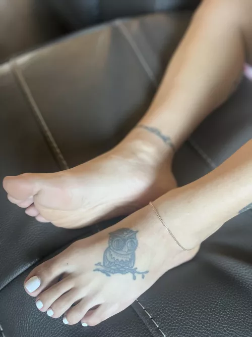 Can you guess what size I am?