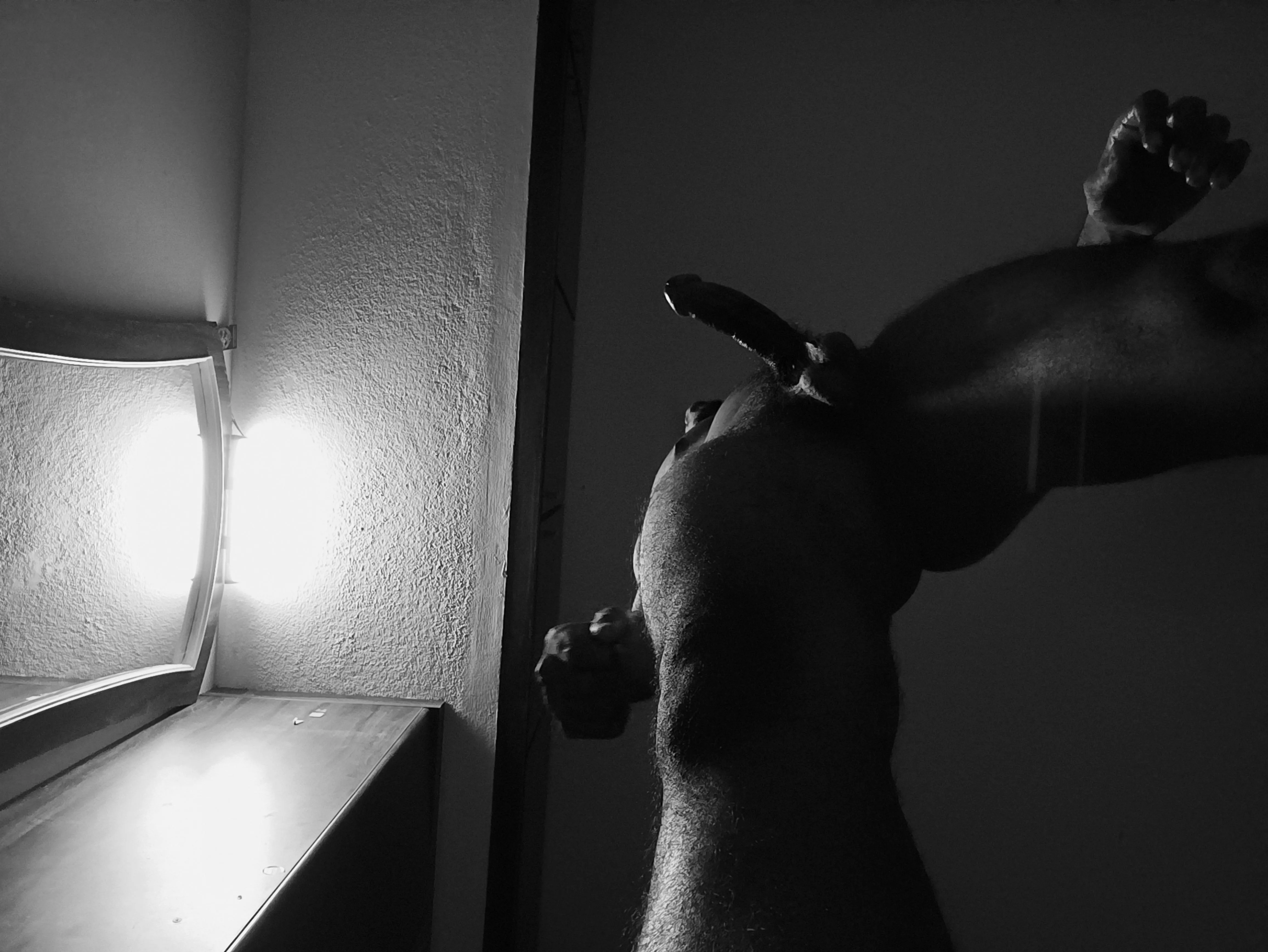 Cougars exactly know how to tame this cub