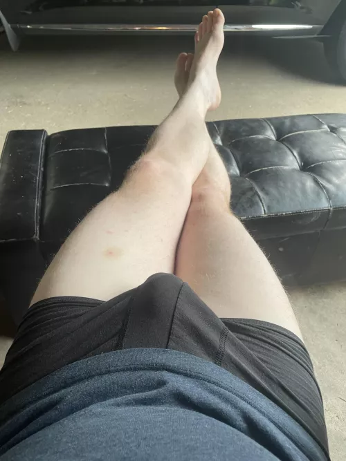 Good morning, fellow ginger lovers