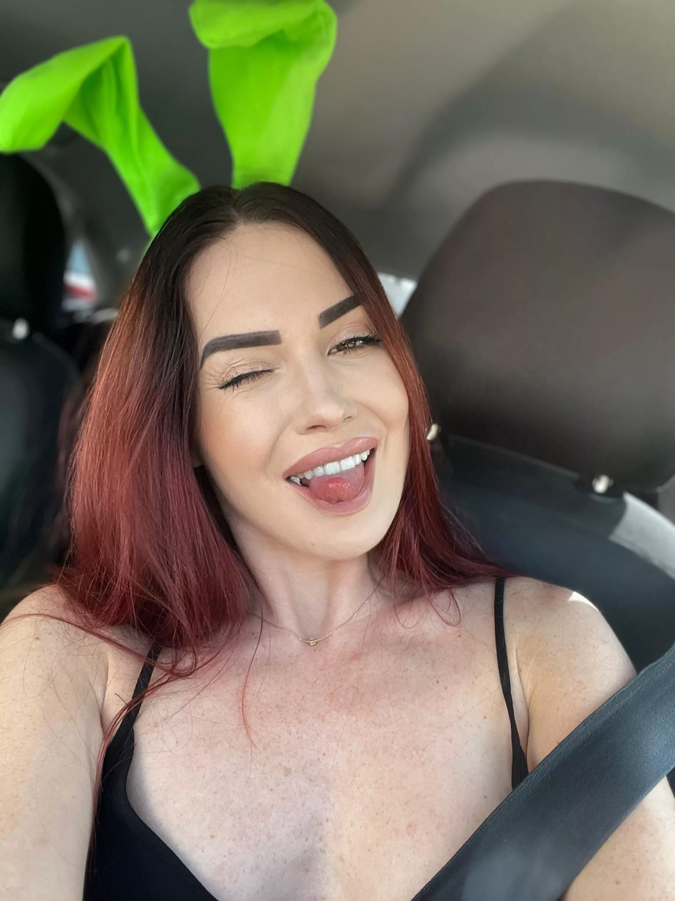 How many bunnies in this group which love doing selfies?