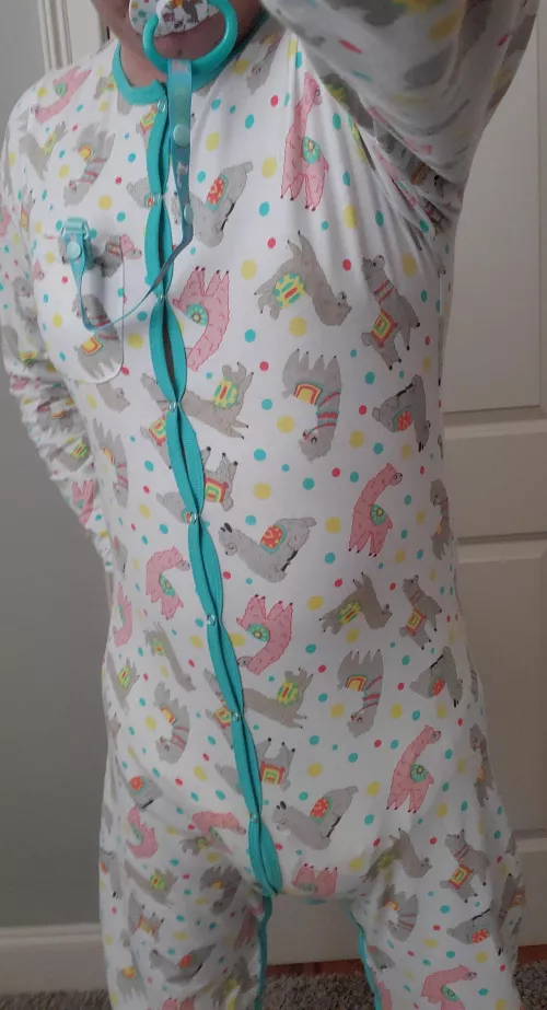 Rearz alpacas are soooo cute