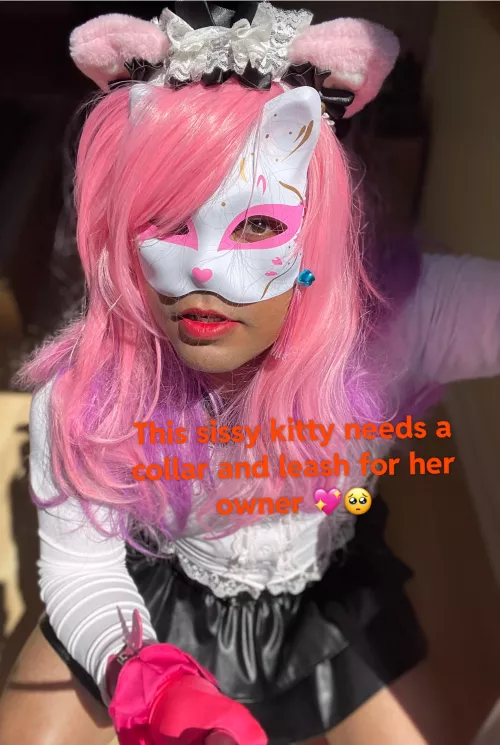 Would you take me out for a walk ? 🥺