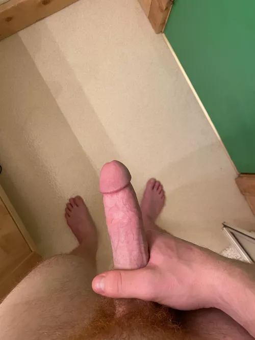 You like my cock? Dms open
