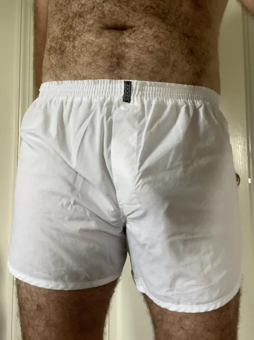 Any love for some regular white Jockey boxer shorts?