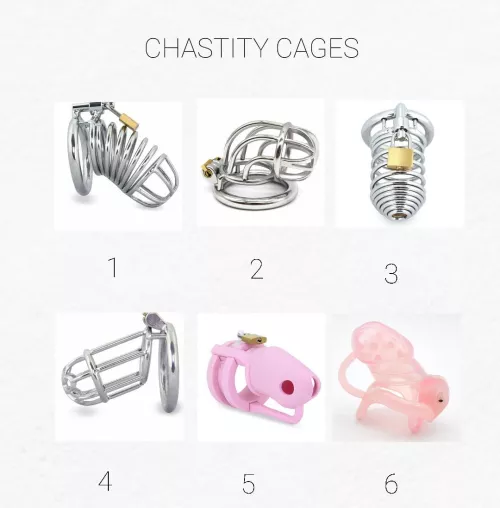 I'm buying a new cage, which one should I get? [Poll in comments]