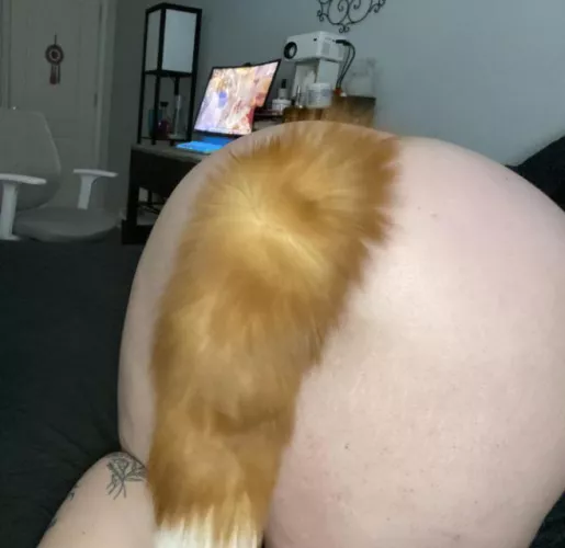 Tug on my tail and fuck my pussy