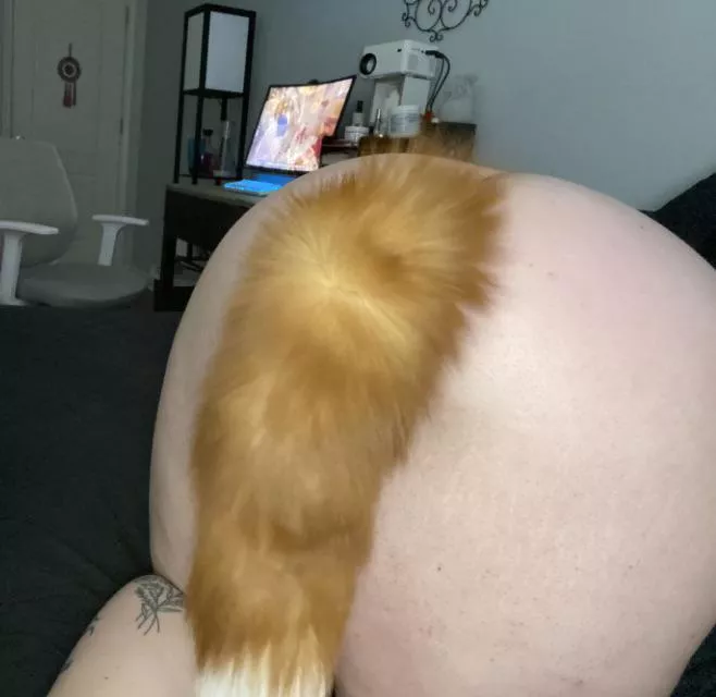 Tug on my tail and fuck my pussy