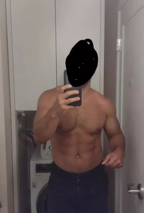 33 American bull in Dublin