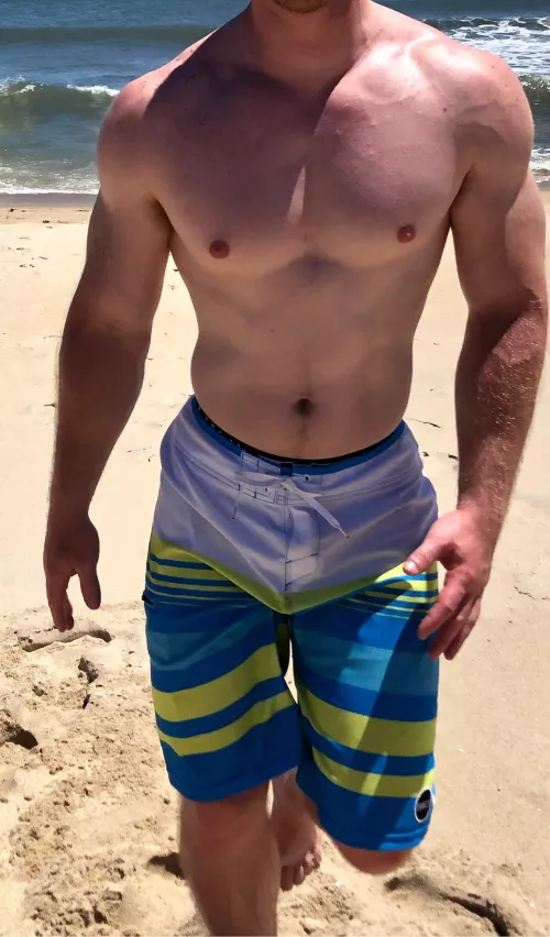 34 Baltimore Bull Looking for hotwives