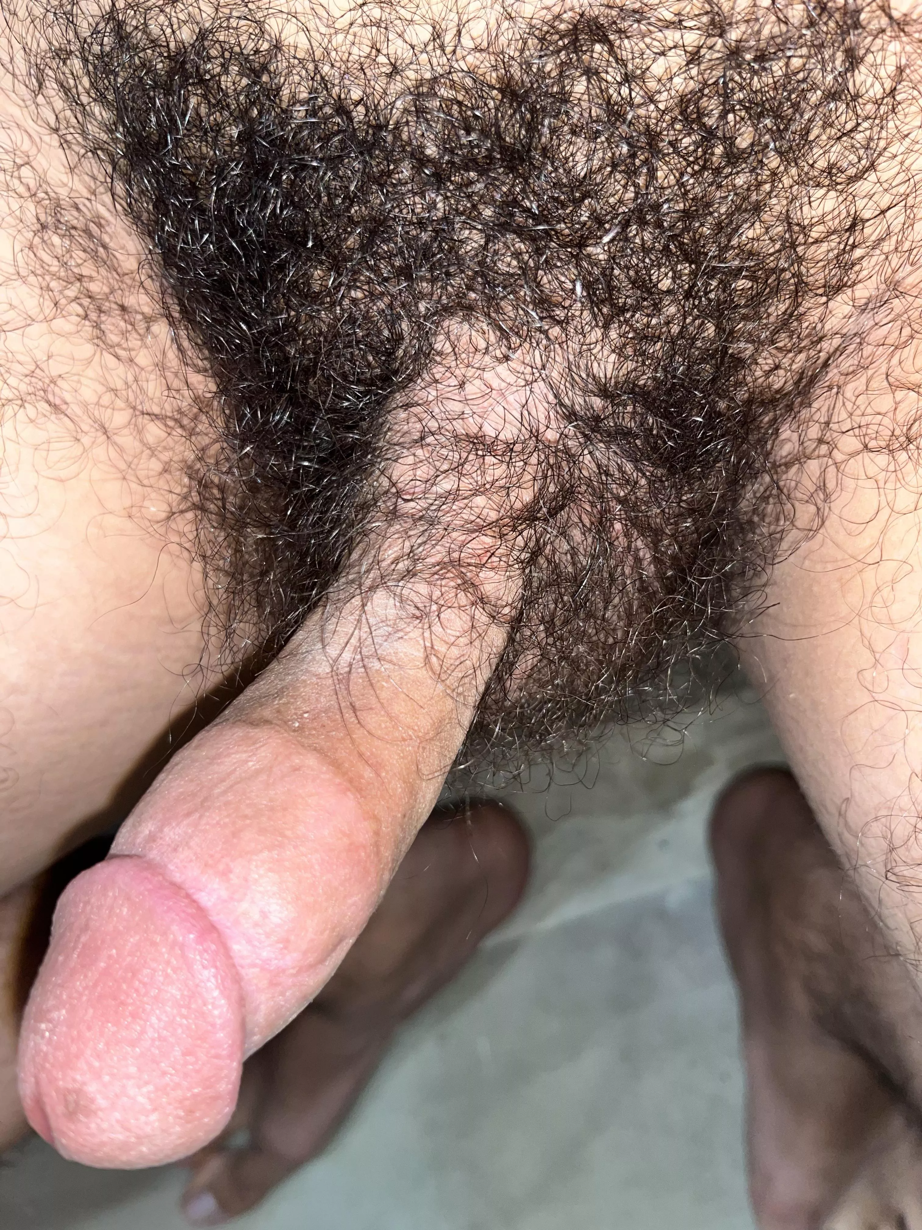 Careful you don’t get lost in the jungle