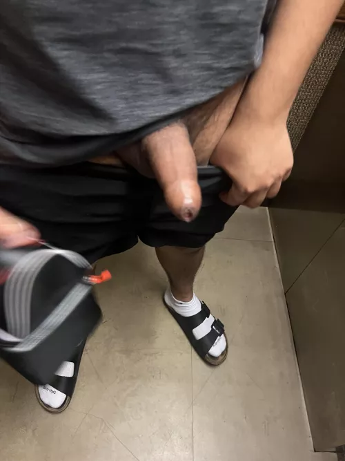 Neighbor pulled out his morning wood during our elevator ride