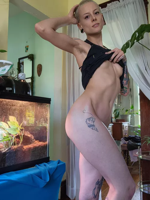 so tempted to buzz it again, but trying to let it grow a little