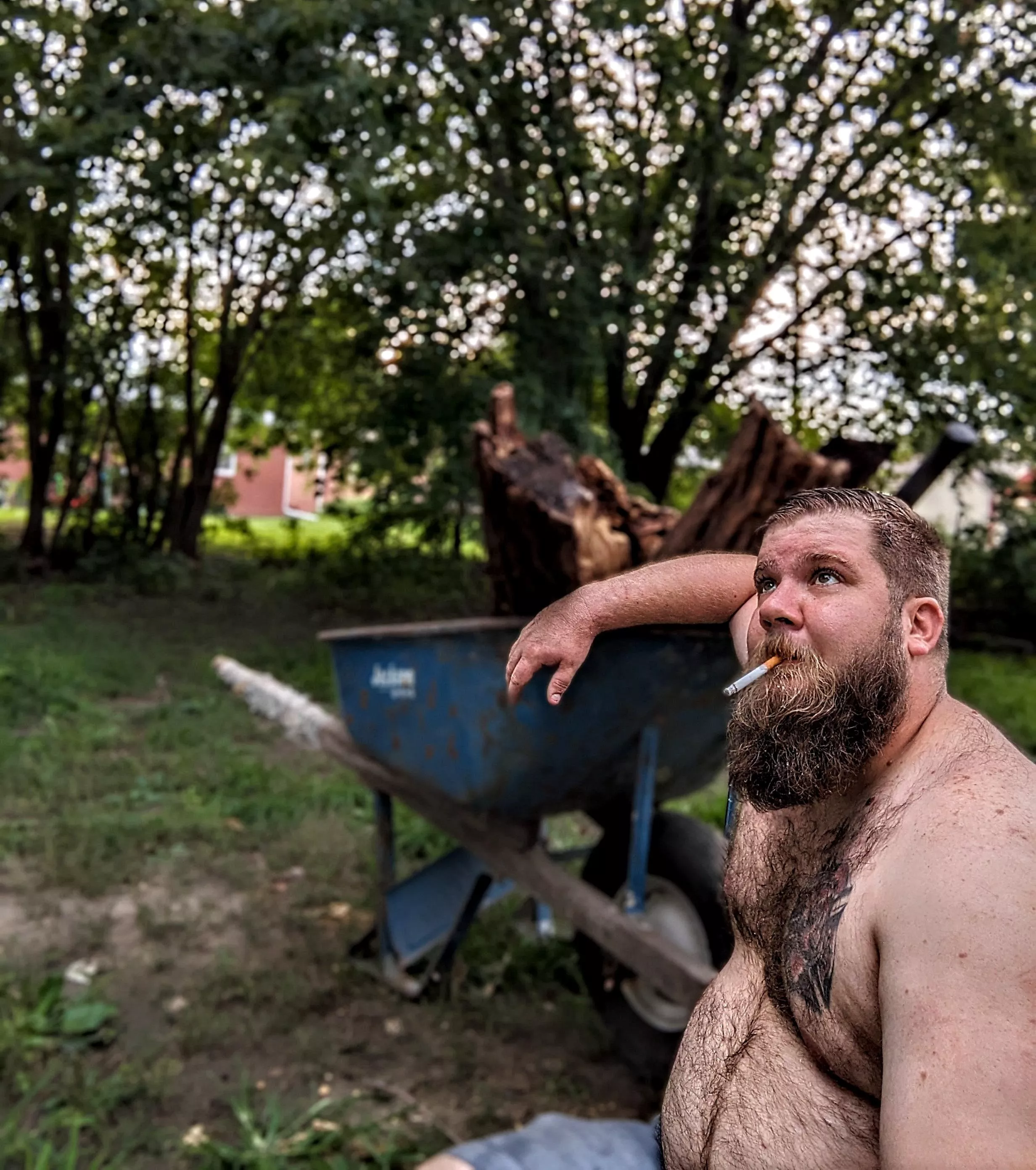 Who needs help splitting wood