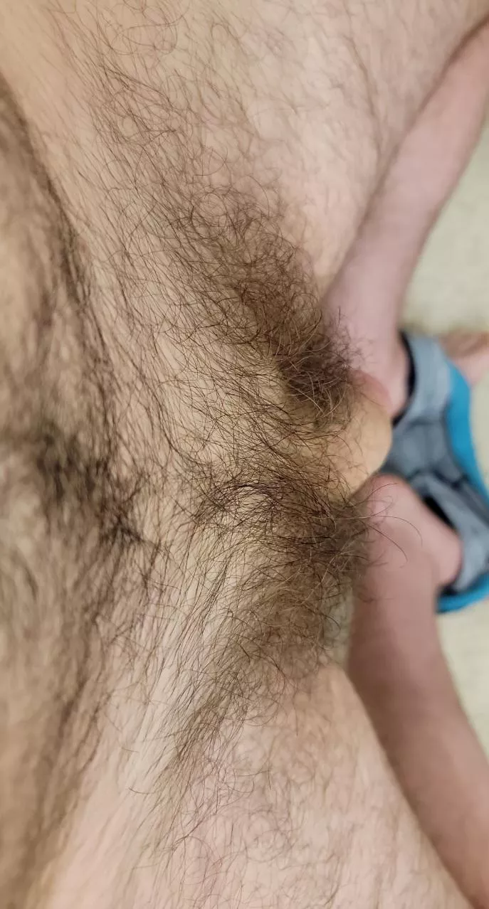 You gotta lick the bush before you get my cock