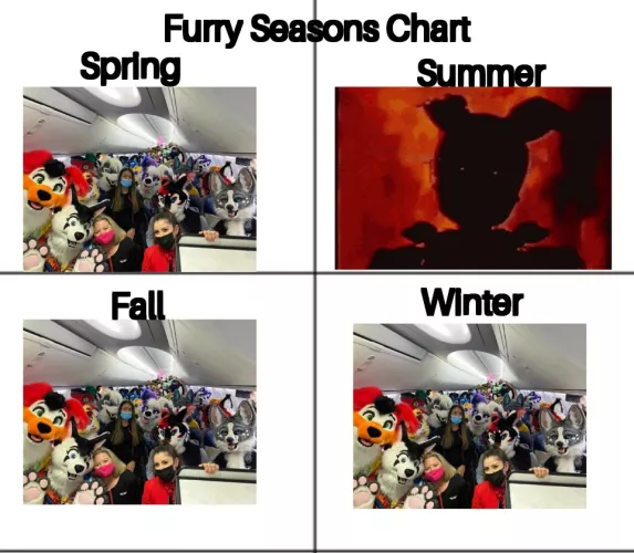 Does this best describe the seasons???