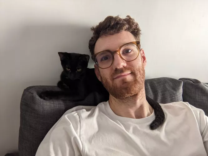 Messy hair, grumpy cat