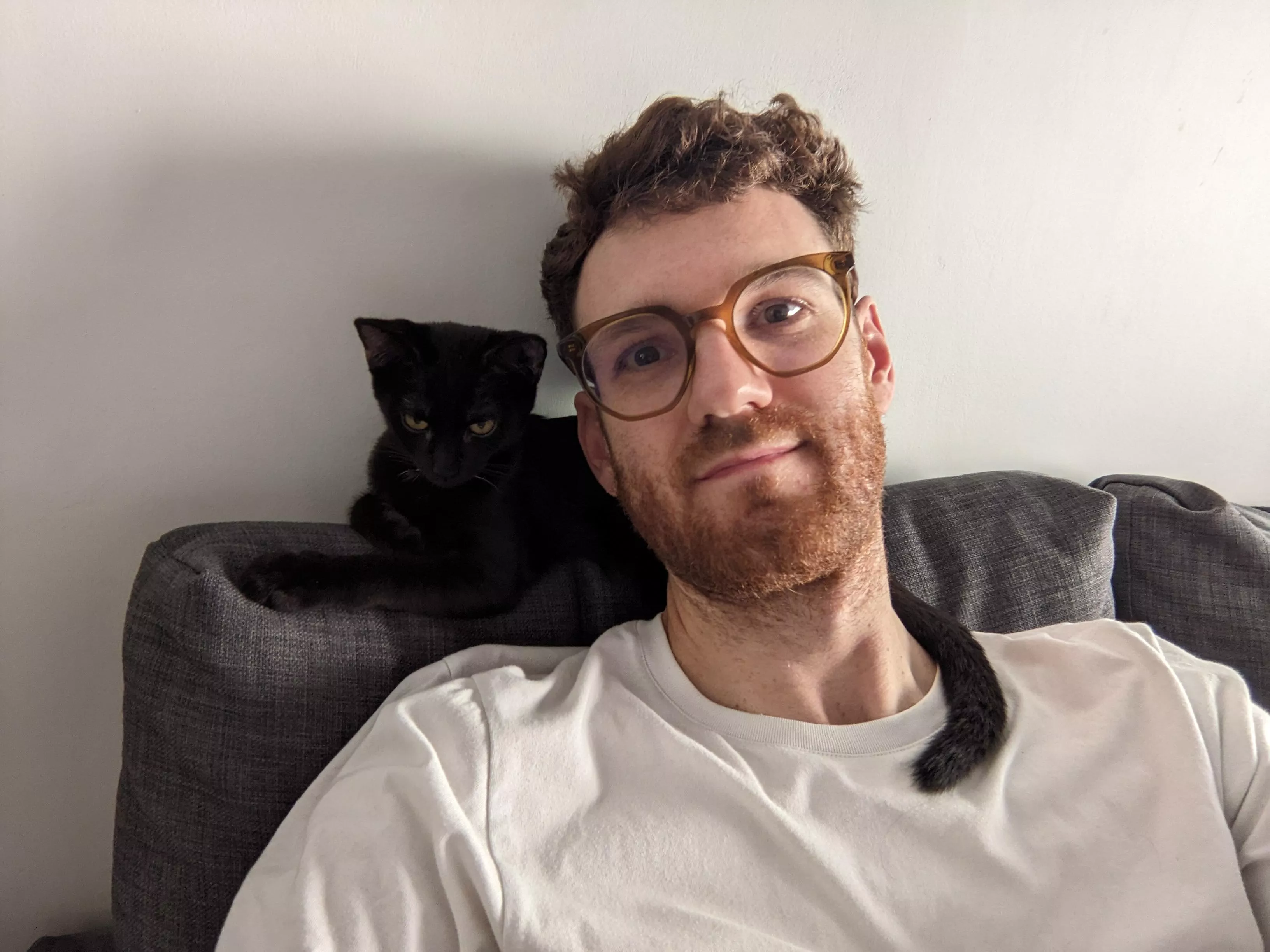 Messy hair, grumpy cat