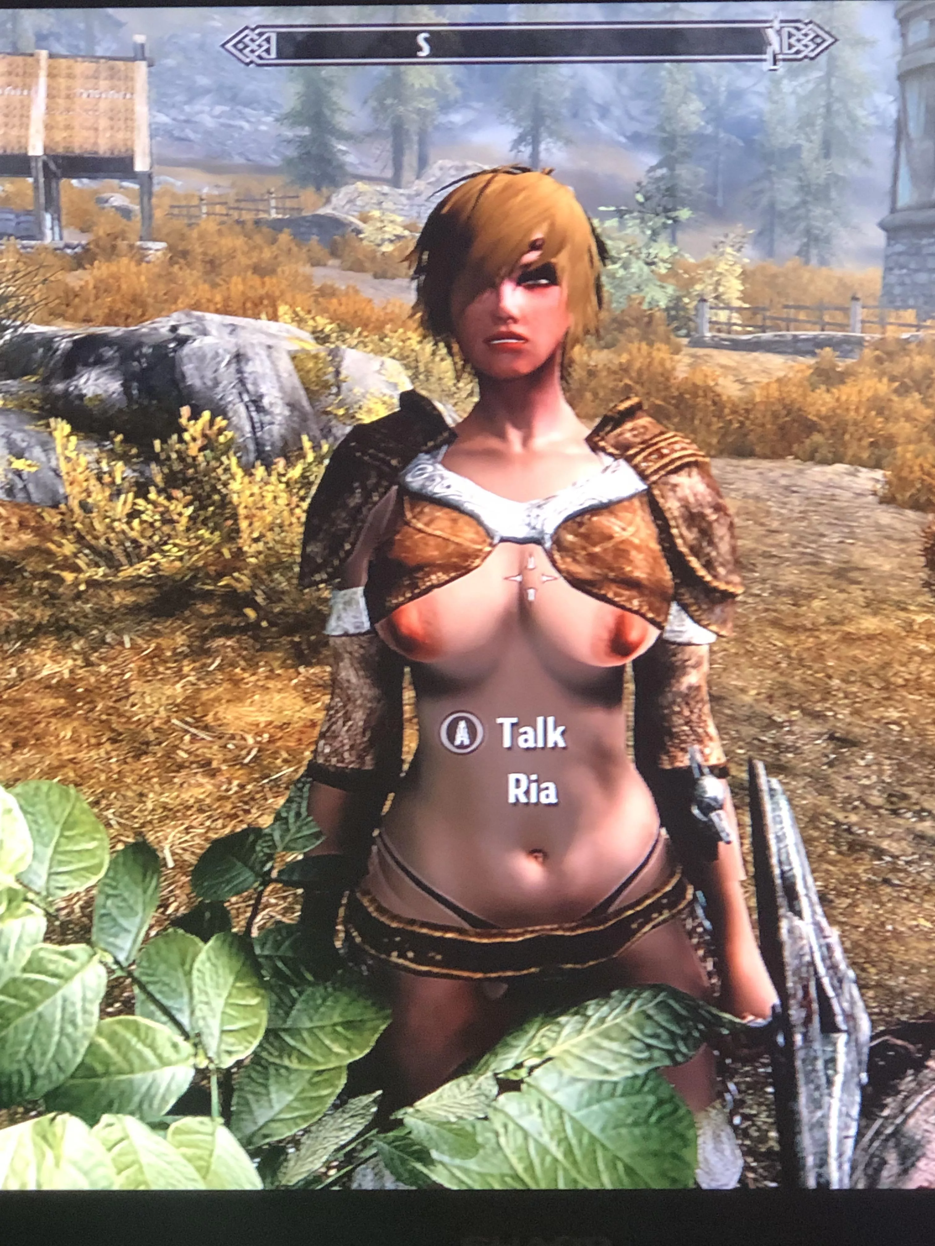 Mod combo help on the series s.