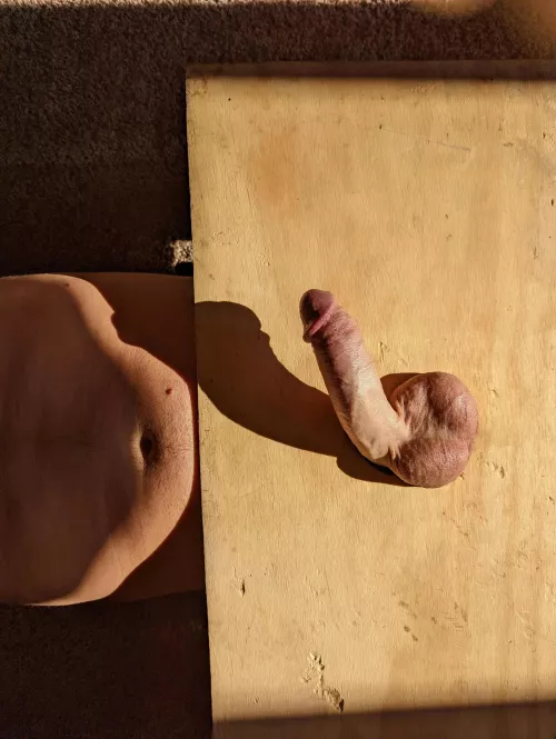 My first post here. Love being trapped. I get turned on when tortured.