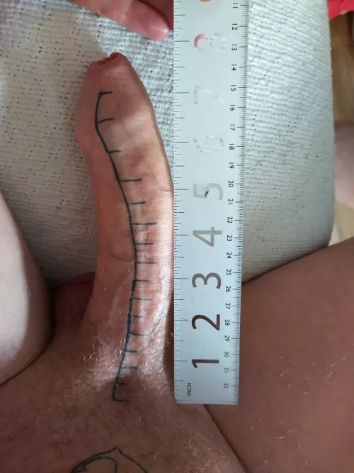 Ruler next to my ruler tattooed cock