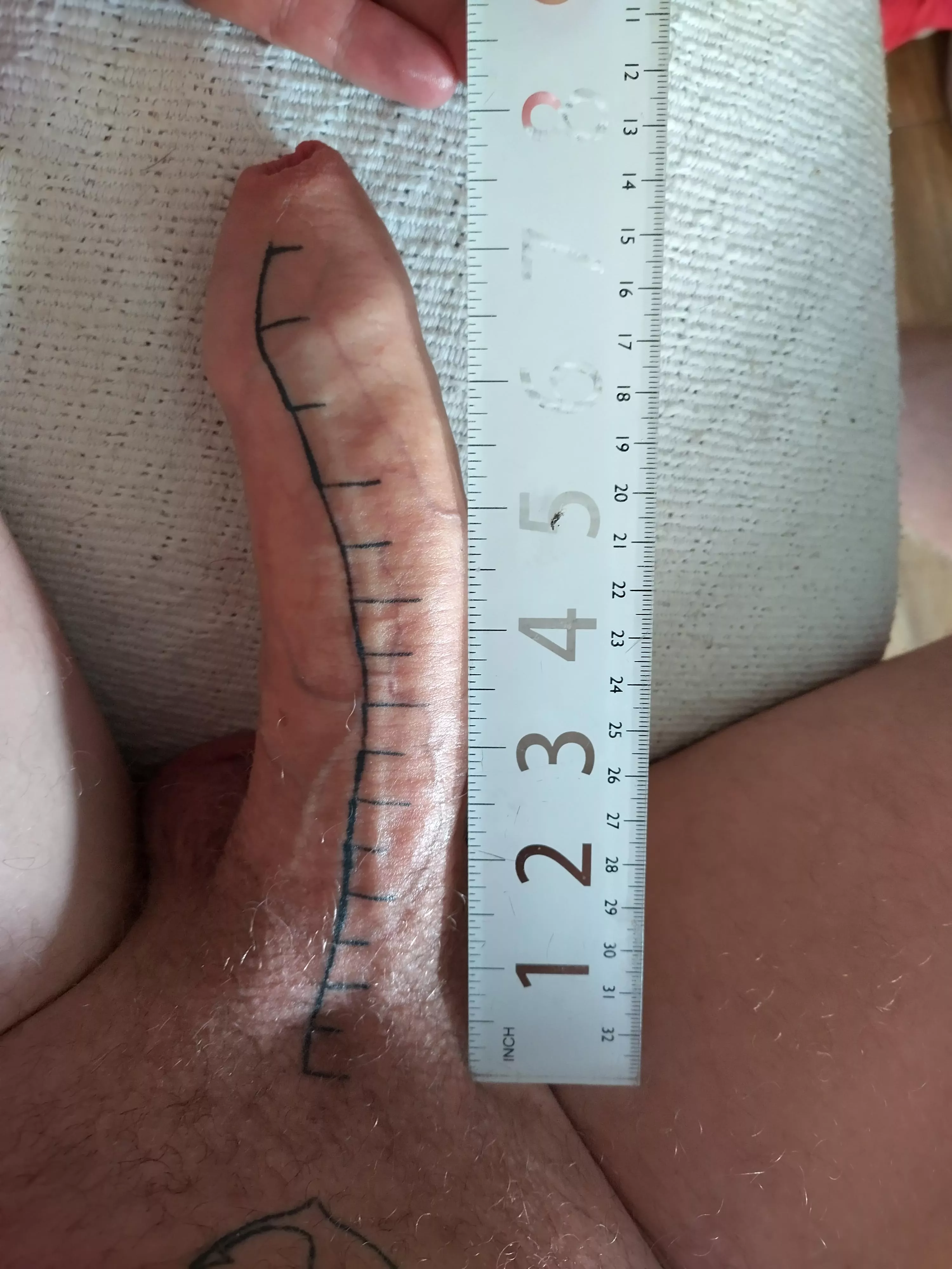 Ruler next to my ruler tattooed cock