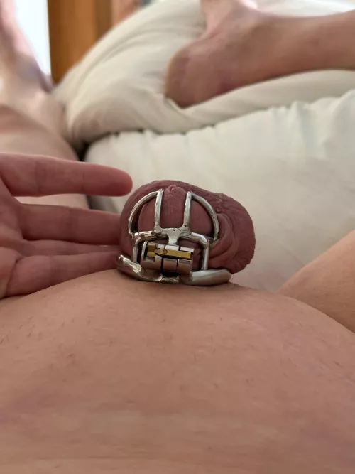 Sir decided it was time for the small metal cage.