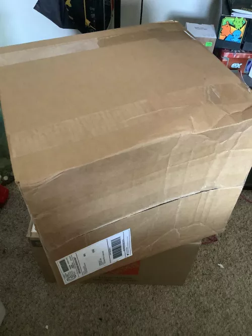 Something came guess what