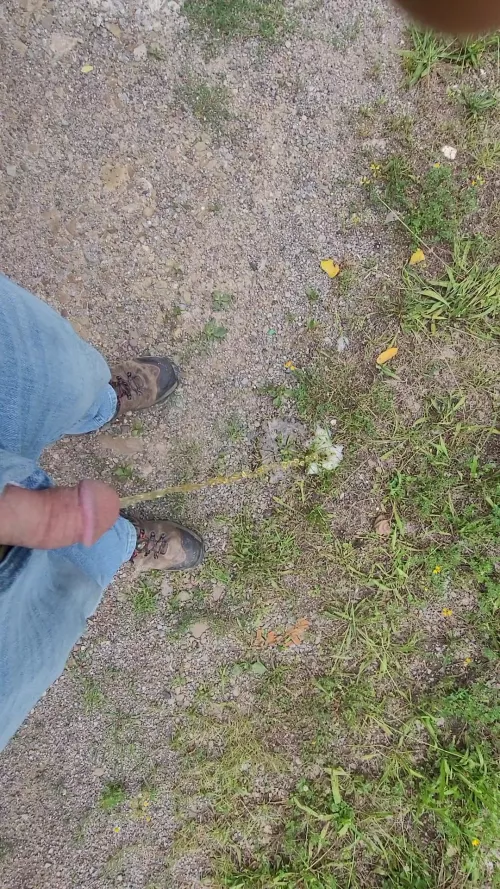 Sometimes you just have to go