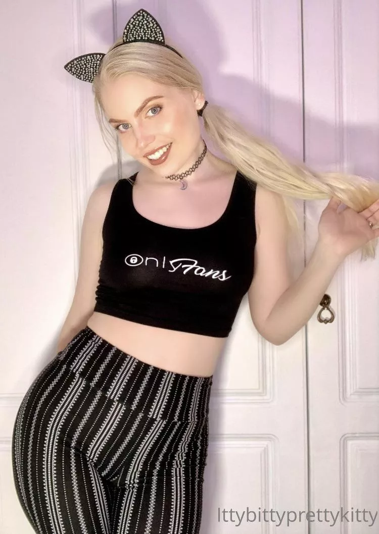 This Kitty wants to play!