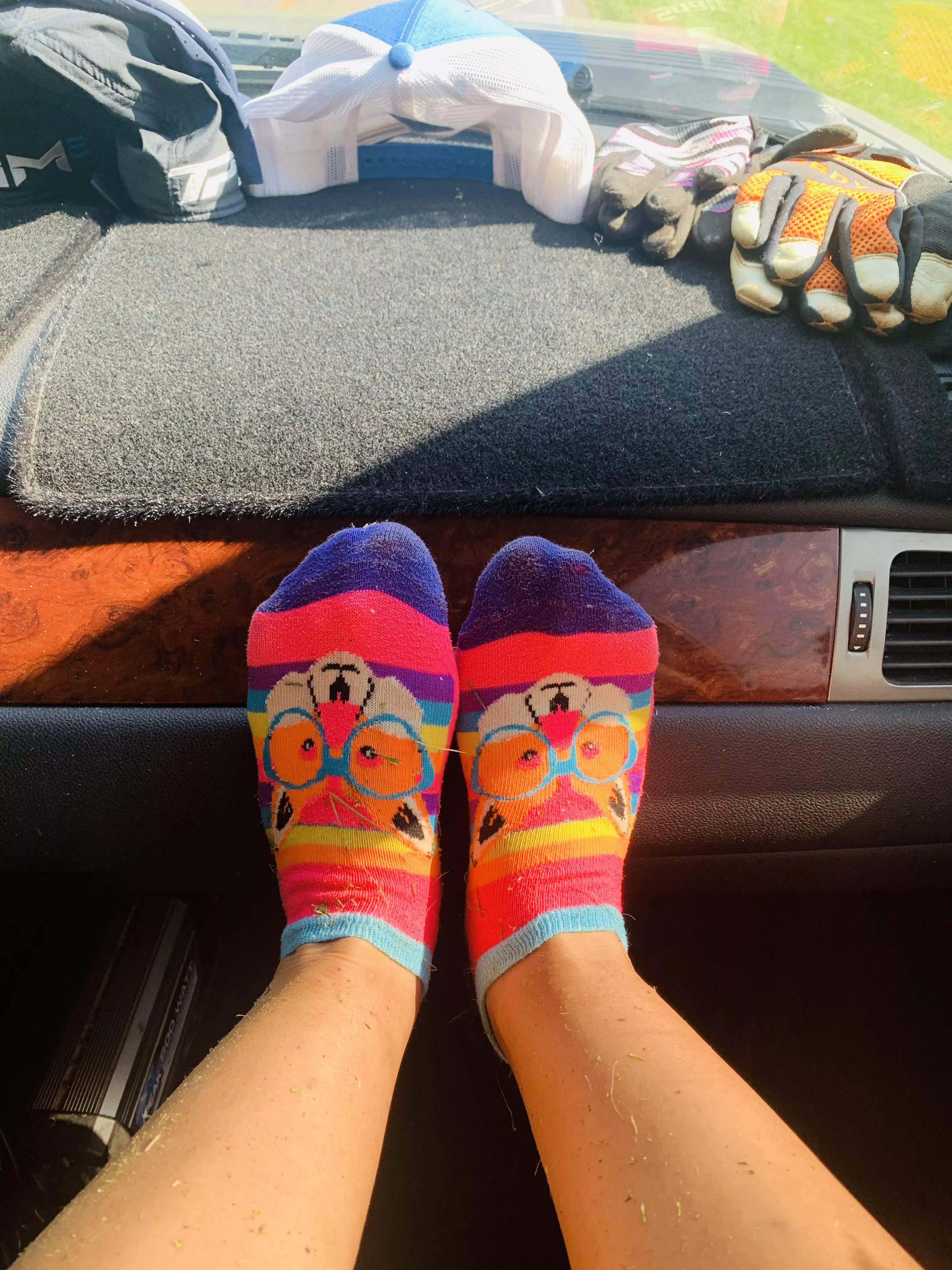 Cum blow your load in my SWEATY Landscaping socks, get ‘em while they’re hottt!:) [F] [selling] [US]